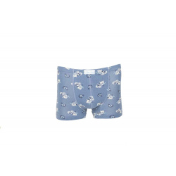 2063_ec_boxer_dsf7099