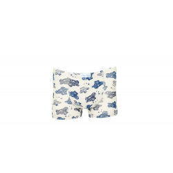 2092_ec_boxer_dsf7093