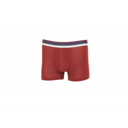 boxer__onurel_dsf7086